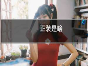 正装是啥