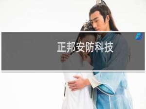 正邦安防科技