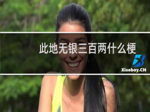 此地无银三百两什么梗