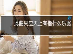 此曲只应天上有指什么乐器