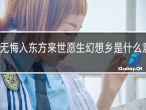 此生无悔入东方来世愿生幻想乡是什么意思什么梗