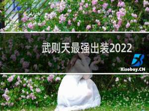 武则天最强出装2022