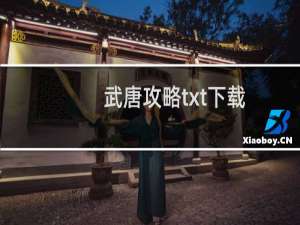 武唐攻略txt下载