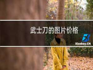 武士刀的图片价格