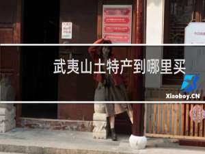 武夷山土特产到哪里买