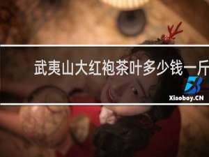 武夷山大红袍茶叶多少钱一斤