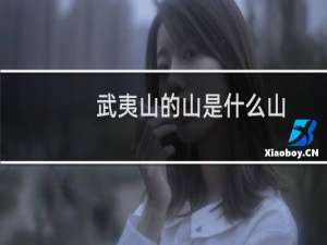 武夷山的山是什么山