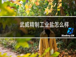 武威精制工业盐怎么样