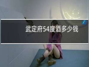 武定府54度酒多少钱
