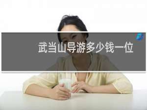 武当山导游多少钱一位