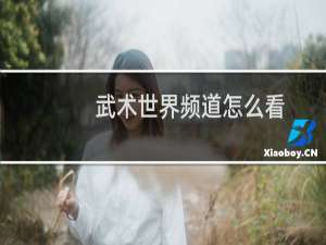 武术世界频道怎么看