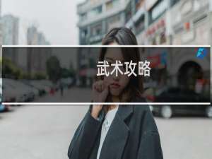 武术攻略