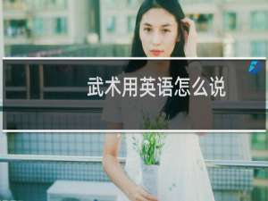 武术用英语怎么说