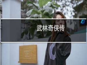 武林奇侠传
