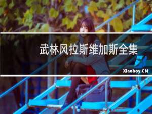 武林风拉斯维加斯全集（武林风 拉斯维加斯）
