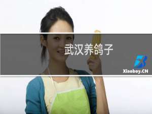 武汉养鸽子