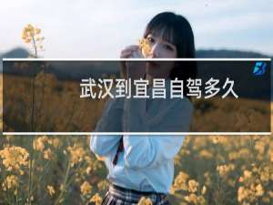 武汉到宜昌自驾多久