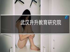 武汉升升教育研究院（有限合伙）