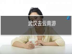 武汉去云南游