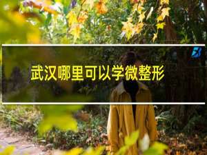 武汉哪里可以学微整形