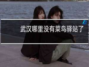 武汉哪里没有菜鸟驿站了