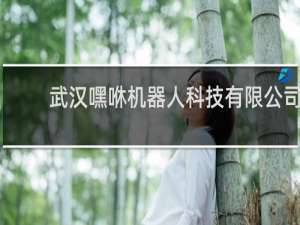 武汉嘿咻机器人科技有限公司