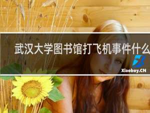 武汉大学图书馆打飞机事件什么梗