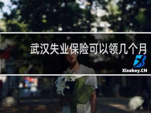 武汉失业保险可以领几个月