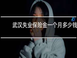 武汉失业保险金一个月多少钱