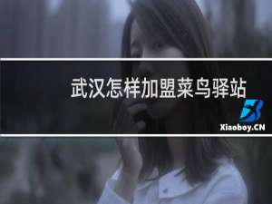 武汉怎样加盟菜鸟驿站