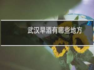武汉早酒有哪些地方