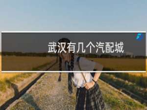 武汉有几个汽配城