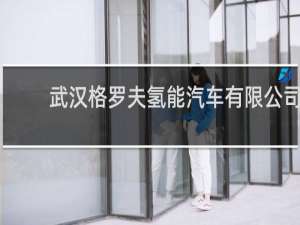 武汉格罗夫氢能汽车有限公司待遇怎么样