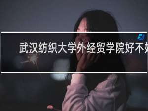 武汉纺织大学外经贸学院好不好