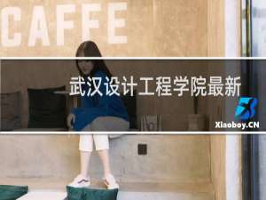武汉设计工程学院最新排名第几 2025全国民办大学排名第50位(校友会版Ⅱ类)
