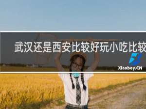 武汉还是西安比较好玩小吃比较多