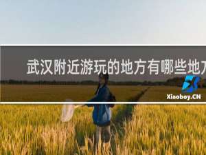 武汉附近游玩的地方有哪些地方