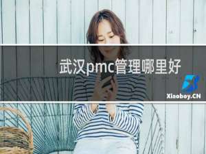 武汉pmc管理哪里好