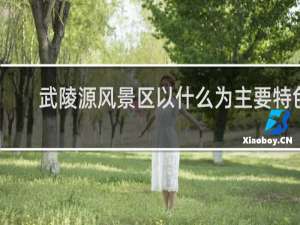 武陵源风景区以什么为主要特色