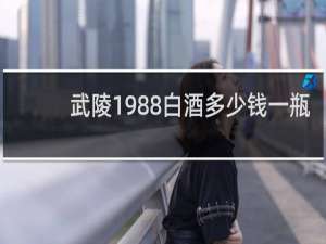 武陵1988白酒多少钱一瓶