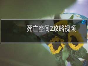 死亡空间2攻略视频