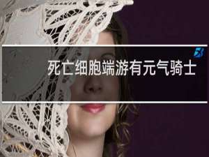 死亡细胞端游有元气骑士皮肤吗