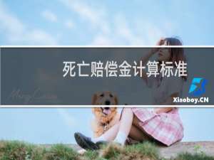 死亡赔偿金计算标准，2019死亡赔偿金计算标准