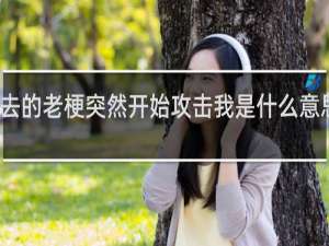 死去的老梗突然开始攻击我是什么意思什么梗