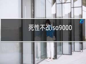 死性不改iso9000