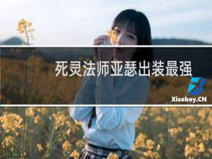 死灵法师亚瑟出装最强