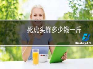 死虎头蜂多少钱一斤