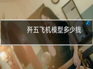 歼五飞机模型多少钱