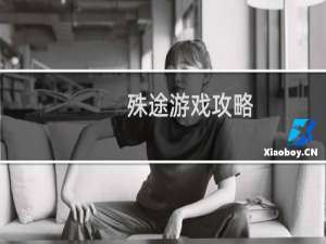 殊途游戏攻略