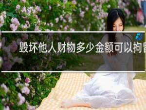 毁坏他人财物多少金额可以拘留